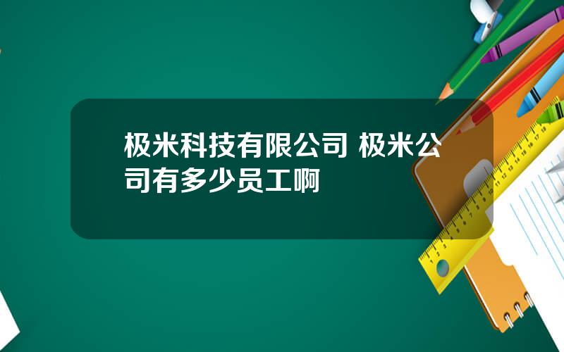 极米科技有限公司 极米公司有多少员工啊